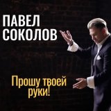 Песня Павел Соколов - Прошу твоей руки!