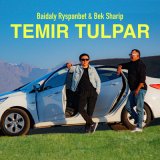 Песня Baidaly & BekSharip - Temir tulpar