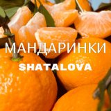 Песня Shatalova - Мандаринки