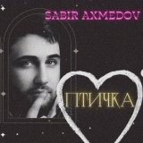 Песня Sabir Axmedov - Птичка