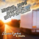 Песня Евгений Курский - Жизнь моя дорога-шоферская