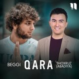 Песня Шохруз Абадия, Beggi - Qara