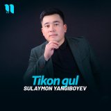 Песня Сулаймон Янгибоев - Tikon gul