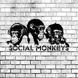 Песня Social Monkeys - Безумие