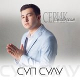 Песня Серик Гамза-заде - Времени река