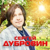 Песня Сергей Дубровин - Ненаглядная моя