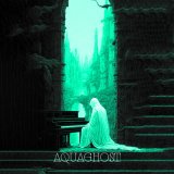 Песня aquaghost - woodland