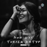 Песня Ilgizmo - Һин шул тиклем матур