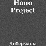 Песня Нано Project - Доберманы (CJ Sasch ed Remix)