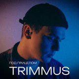 Песня Trimmus - Под прицелом