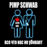 Песня Pimp Schwab - Всё. что нас не убивает (Extended Club Mix)