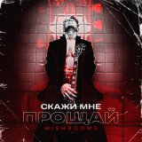 Песня MishRooms - Скажи Мне Прощай