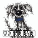 Песня Андрей Оршуляк - Словно в сказке