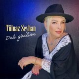 Песня Tülnaz Seyhan - Aptalsın