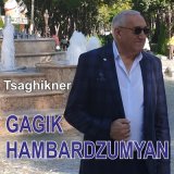 Песня Gagik Hambardzumyan - Qez mek angam em tesel