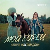 Песня Амина Магомедова - Мой горец