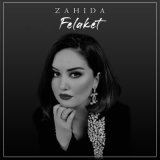 Песня Zahida - Felaket