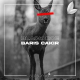 Песня Barış Çakır - Black Roe