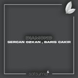 Песня Sercan Ozkan, Barış Çakır - Diamond