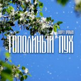 Песня Андрей Оршуляк - Тополиный пух