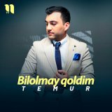 Песня Temur - Bilolmay qoldim