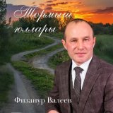 Песня Физанур Валеев - Тормыш юллары