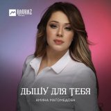 Песня Амина Магомедова - Крик души