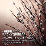 Песня Ансамбль "Вольница", Андрей Булатников, Дарья Попова - Верба раскудрявая