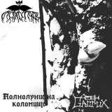 Песня Gacrux - Dampness in My Room