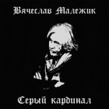 Песня Вячеслав Малежик - Сказки (Instrumental Version)