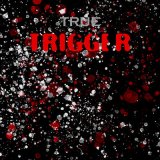 Песня True - Trigger