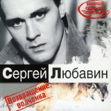 Песня Сергей Любавин - Волчонок