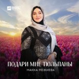 Песня Макка Межиева - Подари мне тюльпаны