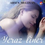 Песня Arsen Meloyan - Yeraz Liner