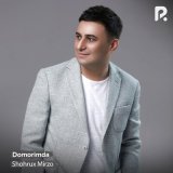 Песня Шохрух Мирзо - Domorimda