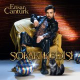 Песня Ensar Cantürk - Sokak Kedisi