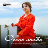 Песня Амина Магомедова - Огонь любви