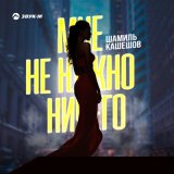 Песня Шамиль Кашешов - Мне не нужно ничего