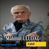 Песня Mahmut Uludağ - Cahil