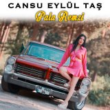 Песня Cansu Eylül Taş - Pala Remzi