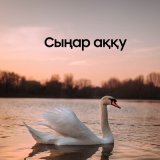 Песня Ерахмет Полат - Сыңар аққу