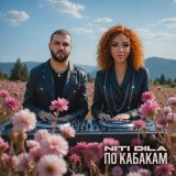 Песня NITI DILA - По кабакам