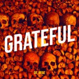 Песня Dr. Medz - Grateful