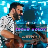 Песня Erkan Aksoy - Nalına Da Vur