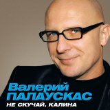 Песня Валерий Палаускас - Лей, ливень лей