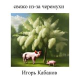 Песня Игорь Кабанов - Он просто вышел покурить (музыкальная поэма памяти Виктора Цоя)