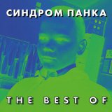 Песня Синдром Панка - Замысел