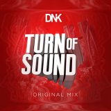 Песня DnK - Turn Of Sound