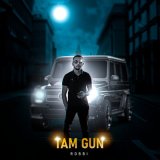 Песня Robbi - ТАМ GUN