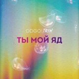 Песня ODGO - Ты мой яд